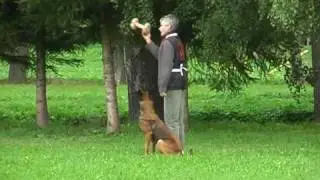 06 Pavel a Orso ZVV 3 poslu&scaron;nost