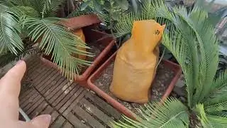 معلومات بسيطة  ...ومكان  نوم  مشمش  المفضلة  ..😀😀😀
