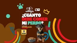 Hoy en La Mejor Compañía: ¿Cuánto debe comer mi perro?