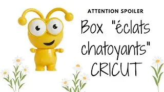 Box cricut &eacute;clats chatoyants
