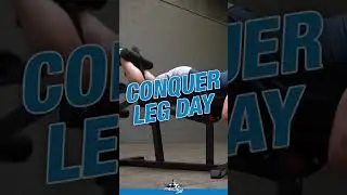 FitnessFactory.com has the LARGEST selection of leg machines & benches!