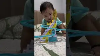Small Duck | Playing | Activity | Baw Chori Life