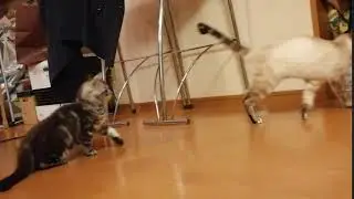 VID 20190419 231235
