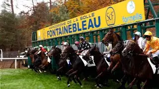 【FONTAINEBLEAU TURF】 FRANCE HORSE RACE ANALYSIS