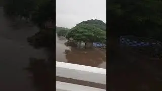 பாலாற்றில் வெள்ளம் #aliyar #road #flood #trend #viralshorts