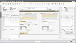 Multiple Unit of Measures in SAP Business One 9.0