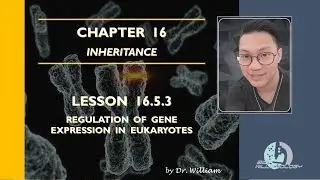 Lecture Series 16.5.3: Regulation of Gene Expression in Eukaryotes | Dr. William