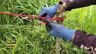 The BEST Clove Hitch TUTORIAL EVER (For VISUAL LEARNERS) - Clove Hitch Knot, Rope Tricks!