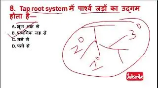 Plant Morphology: जड़ (Root) | RPSC 1st & 2nd Grade | TGT PGT Biology | DSSSB