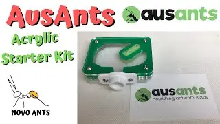 Aus Ants Acrylic Starter Kit - Unboxing & Review