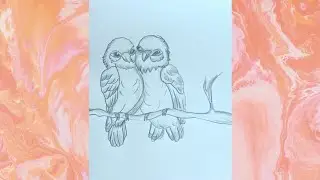 How to draw bird step by step||Owl drawing||Drawing for kids||