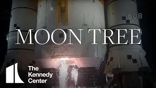The Kennedy Center Moon Tree