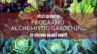 JAK TO VYPAD&Aacute; UVNITŘ ALCHEMISTIC GARDENING