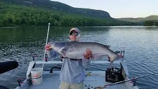 Suspend Drifting for Blue Catfish with Steve Douglas (Wild Catters TV)