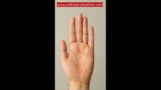 The Mercury Line , Palmistryteacher.com hand reading