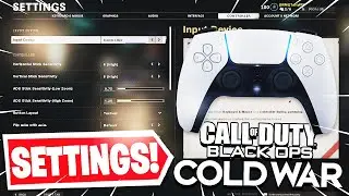 My Settings in Black Ops Cold War! (Best Controller Settings)