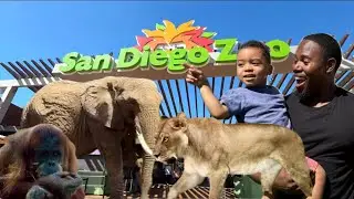 SURPRISE TRIP TO SAN DIEGO ZOO !!! 