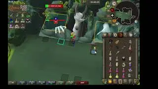 Simple 60 attack Pure Chambers of Xeric Solo Part II: The Great Olm, Befuddled