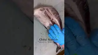 Sablefish Filleting 🔪 | Easy Step-by-Step Tutorial
