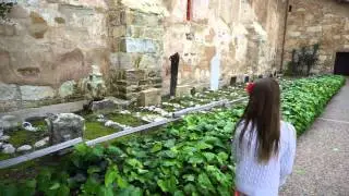 Mission Carmel Documentary, by Alexia
