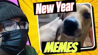 New Year Memes OR My Dance 😂 (MEMES EDITION) ft. HarryBoltaHai