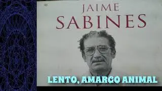 LENTO, AMARGO ANIMAL (Jaime Sabines)