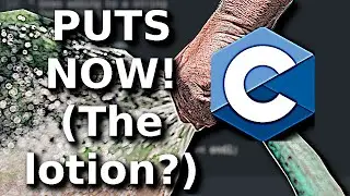 C Programming Tutorial   Puts Function
