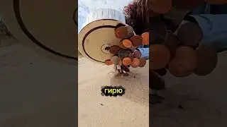 Самый мощный магнит в мире