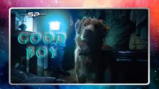 Trailer Into REaction: Good Boy (2025) | Official Trailer