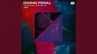 Recall