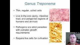 Chapter 21 - Irregularly Shaped Bacteria of Medical Importance