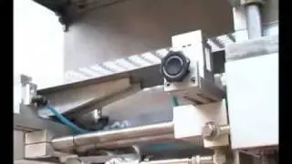 DPH-250 High Speed Blister Packing Machine