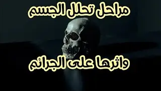 مراحل تحلل الجثث وأثره فى كشف الجرائم