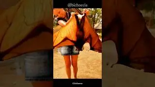 Raposa-voadora | O maior MORCEGO do mundo#shorts #trending #animals #curiosidades #natureza #morcego