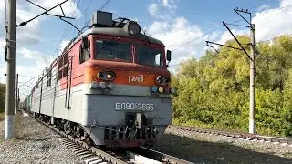 ВЛ80С-2695 с грузовым поездом проезжает по мосту