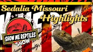 Sedalia Missouri (Show Me Reptile Show) Highlights & Vendor Spotlights ⭐️ 