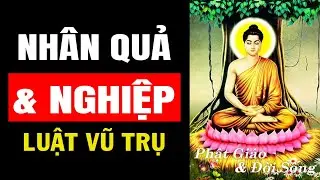 LUẬT NHÂN QUẢ & NGHIỆP: LUẬT CÔNG BẰNG CỦA VŨ TRỤ  | PHẬT GIÁO
