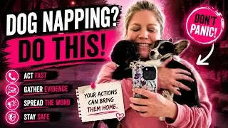 Tips On What To Do In A Dog Napping
