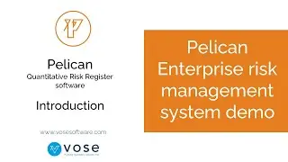 Pelican Enterprise risk management system demo