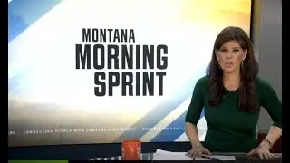 TOP STORIES: Storm creates travel hazards, cancels & delays schools, mountain lion report