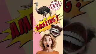 5 amazing facts about ostrich 🦩 #facts #amazingfacts #birds #nature  #shorts #wildlife #amazing