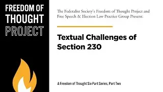 Textual Challenges of Section 230 [Freedom of Thought]