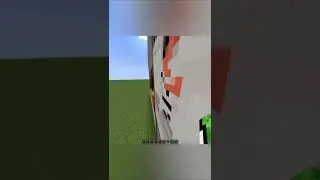 The Most Secret Minecraft Ladder...