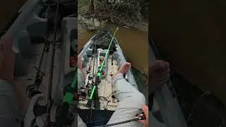 TUCUNARES DO LAGO DA ON&Ccedil;A, UM ARREMESO UM PEIXE