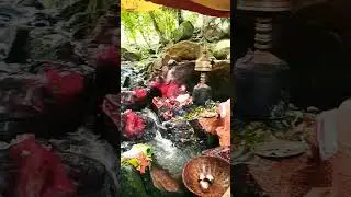 #Bol bom#bhimasangkar temple#guwahati/garchuk/pamohi 2023