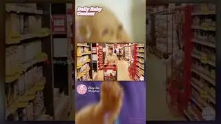 Indian Baby Skincare Products for your Cute Little Baby ❤️
