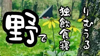 【 ist-Aokinodaira Field 】forest Cサイトが最高の野営地だった！