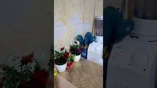 مساء