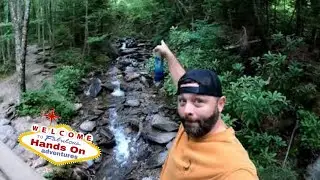 arch rock trail. great smokey mountains national park