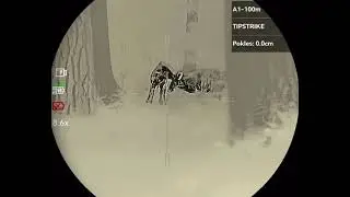 Wildbaor Hunting #thermohunterpr #viralvideo #wildboar #wildlife #animals #edit #funny #memes #fyp 